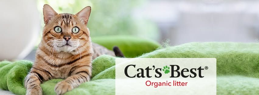 A tabby cat lying on a green blanket beside the Cat’s Best organic litter logo