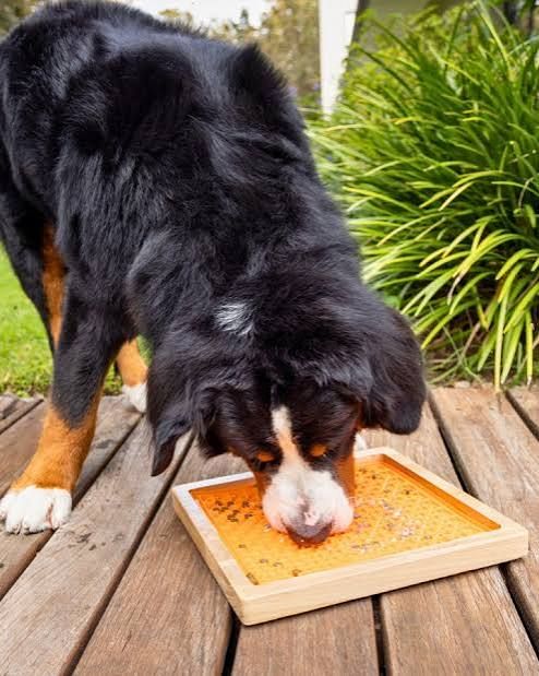 A dog licking a LickiMat in a wooden holder on a deck