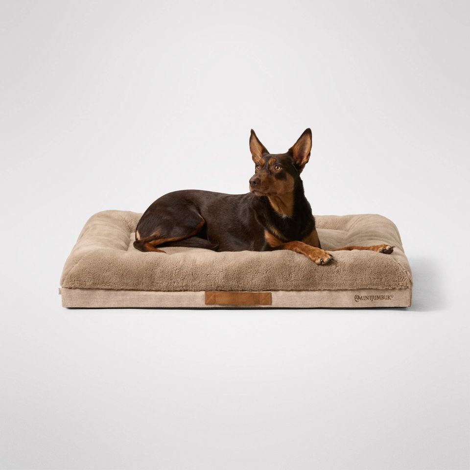 A dog resting on a Mini Jumbuk orthopaedic bed