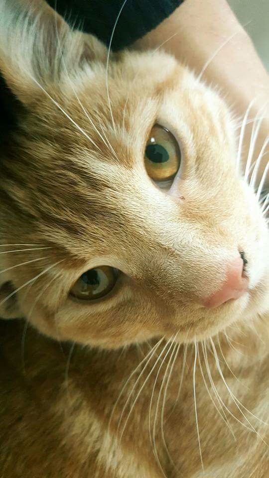 Sheldon feeling relaxed in his new home